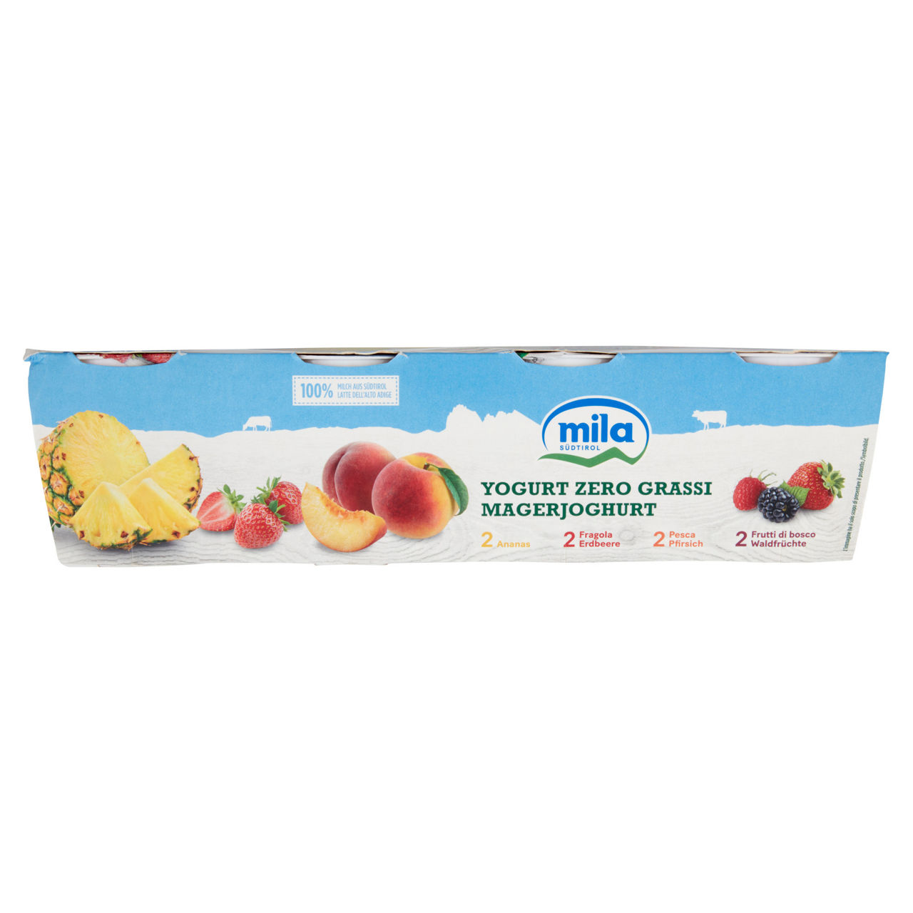 Yogurt magro zero grassi frutta assortita 8 pz da 125 gr - Immagine 31
