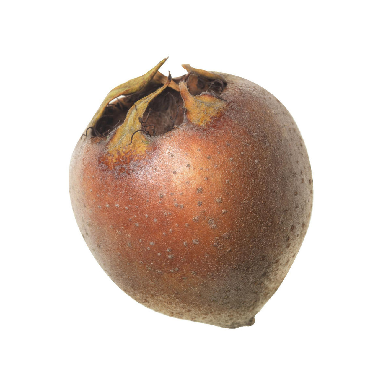 Nespole 500 gr
