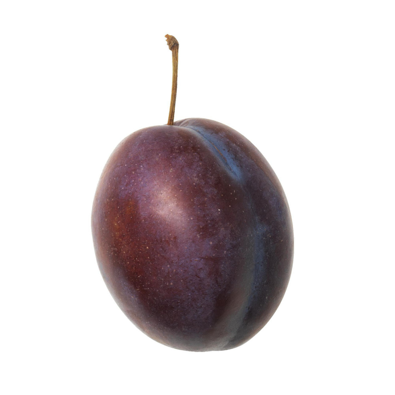Susine Stanley 1 kg