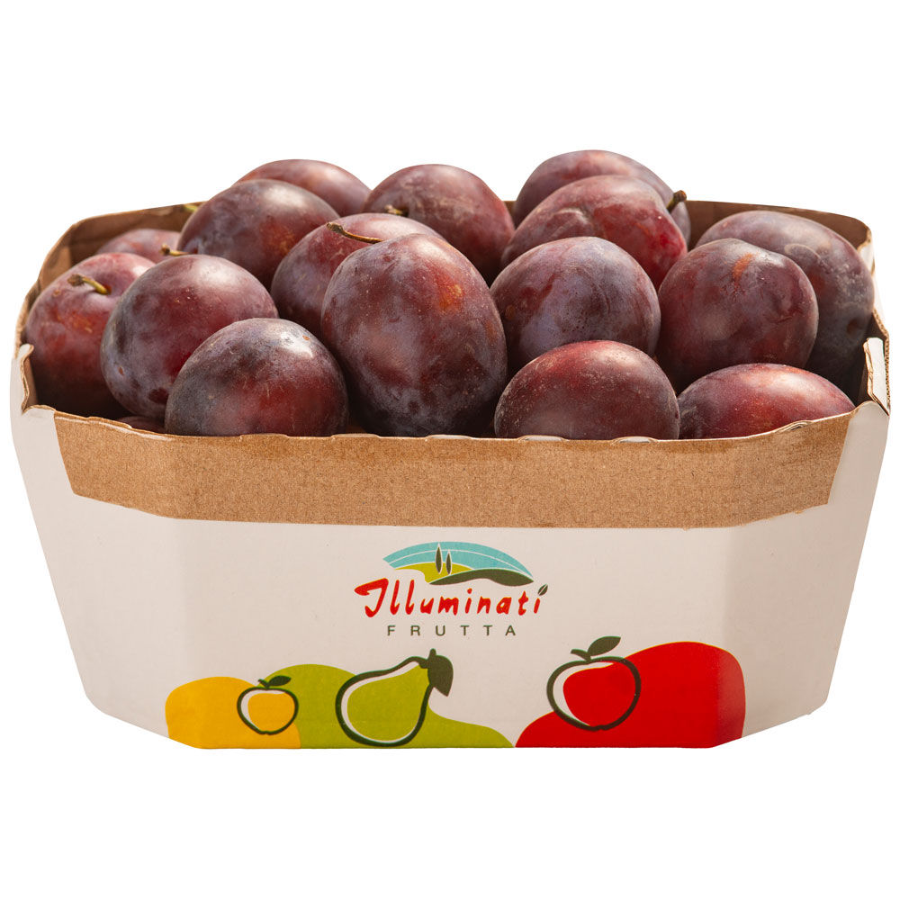Susine Stanley 1 kg