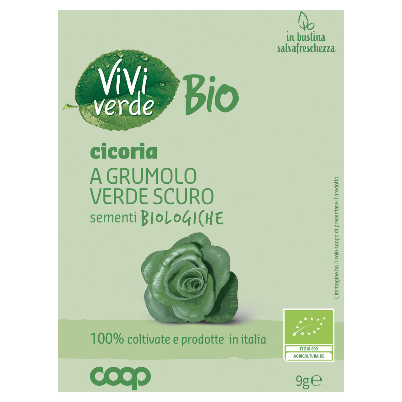 Sementi cicoria a grumolo verde scuro bio 9 gr