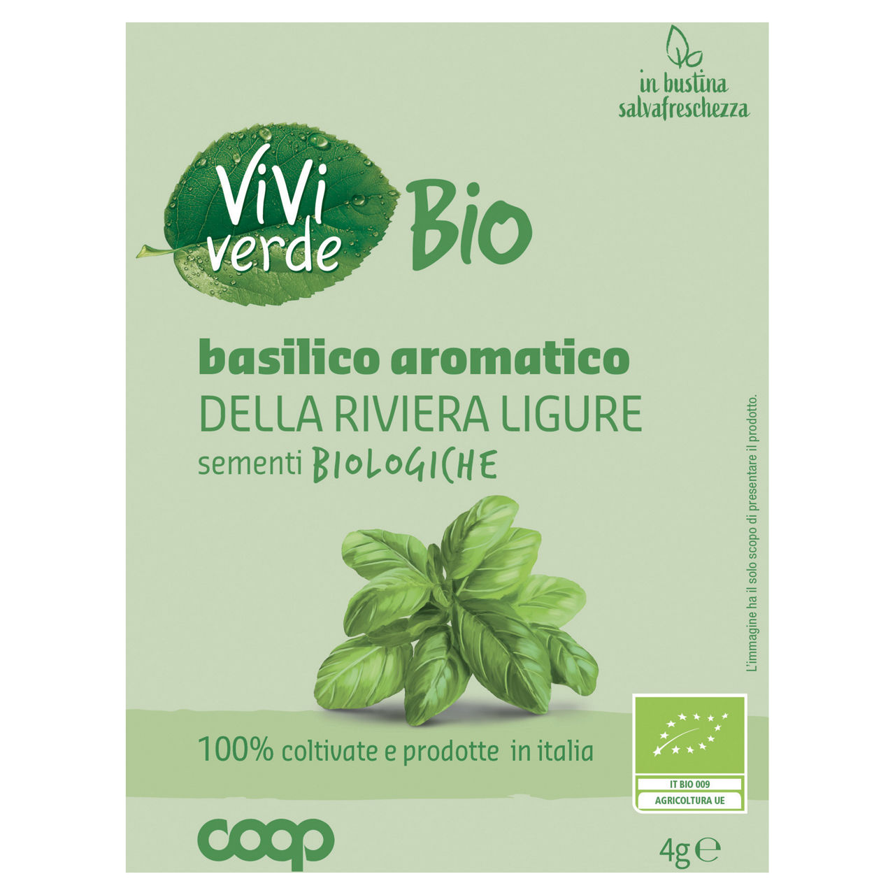 Sementi basilico aromatico della riviera Ligure bio 4 gr - Immagine 01