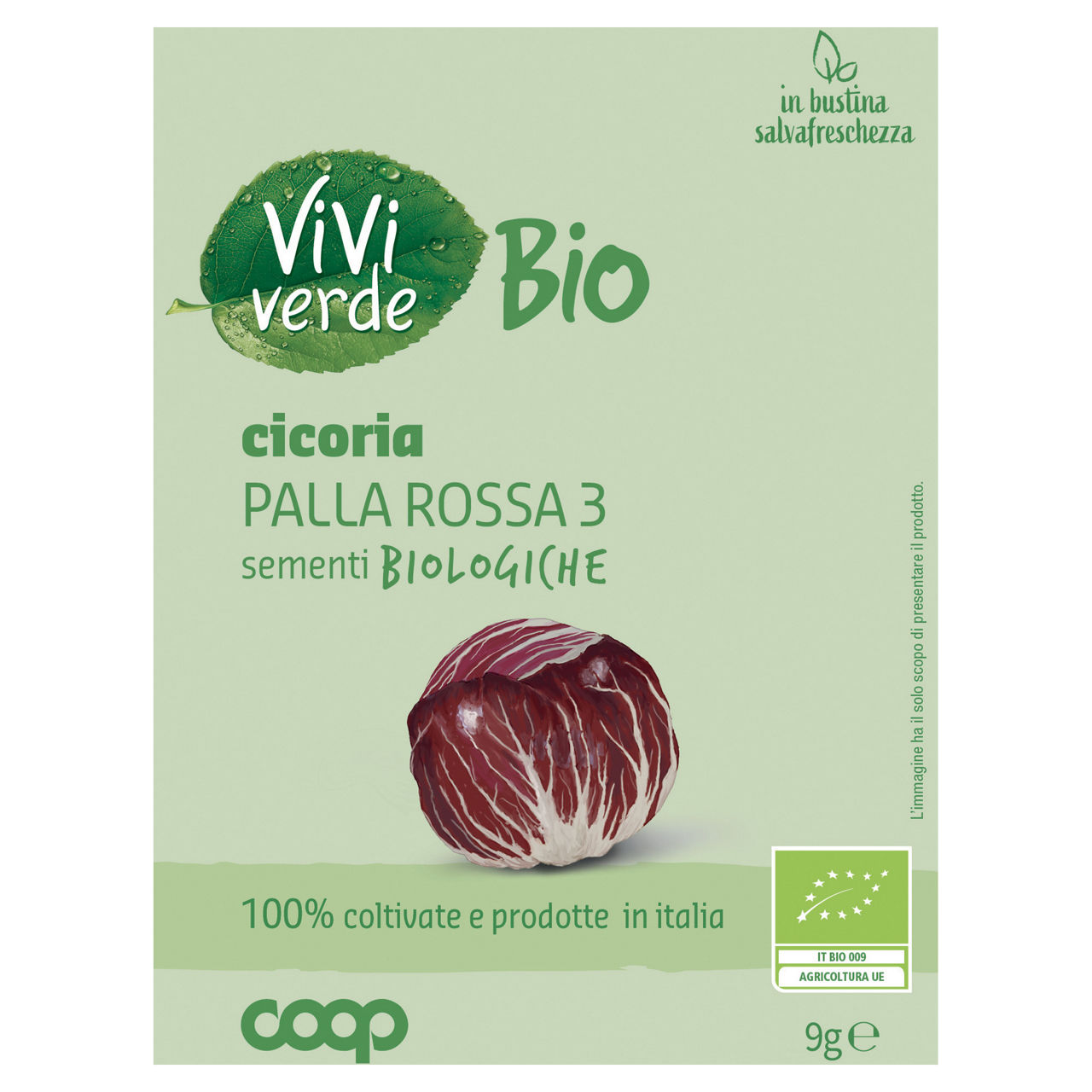 Sementi cicoria palla rossa 3 bio 9 gr - Immagine 01