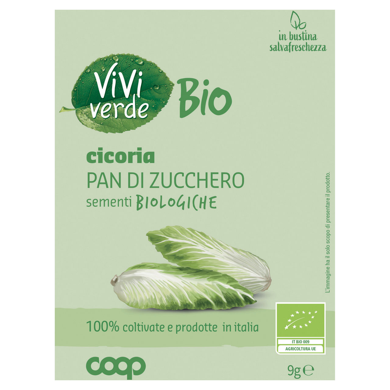 Sementi cicoria pan di zucchero bio 9 gr - Immagine 01