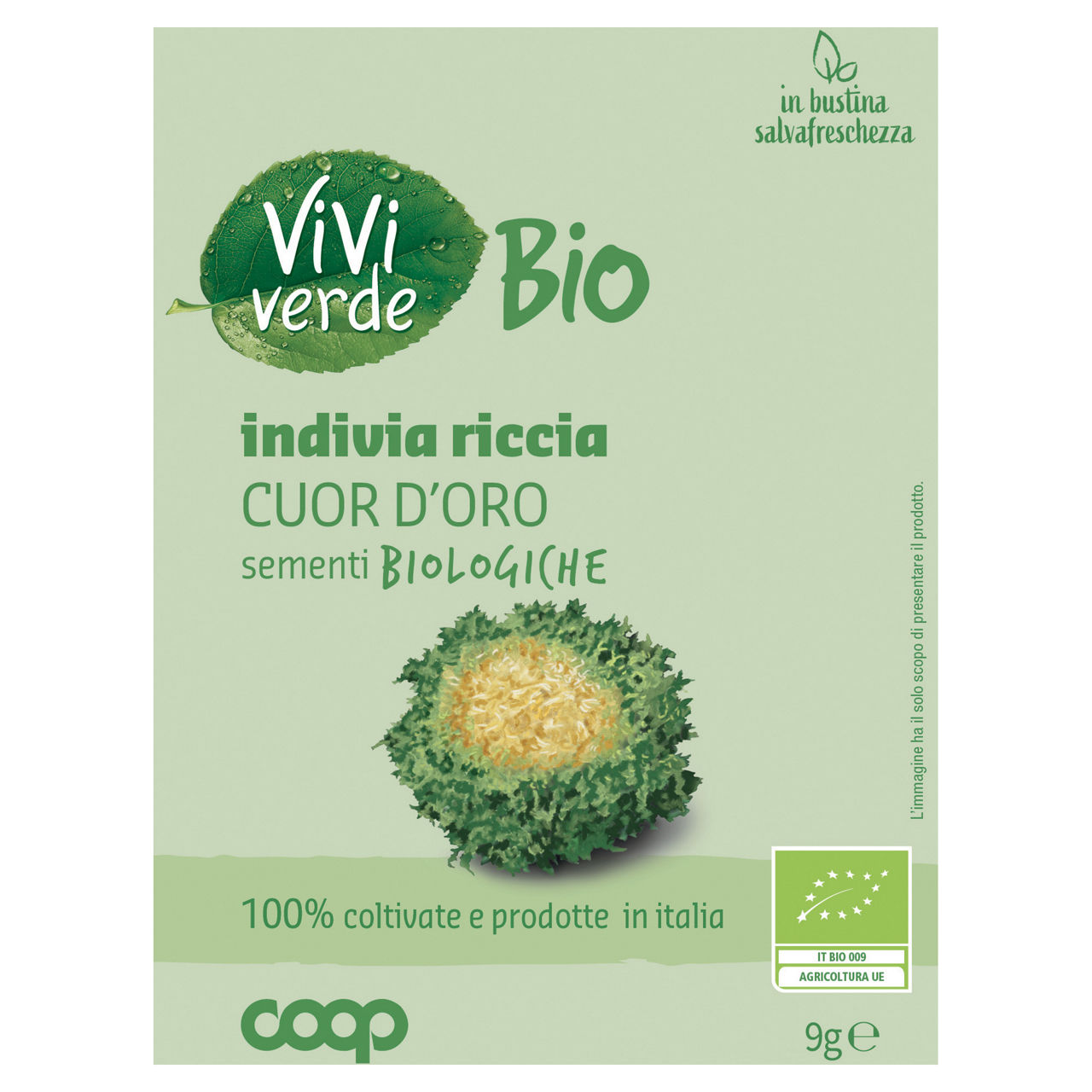 Sementi indivia riccia cuor d'oro bio 9 gr - Immagine 01