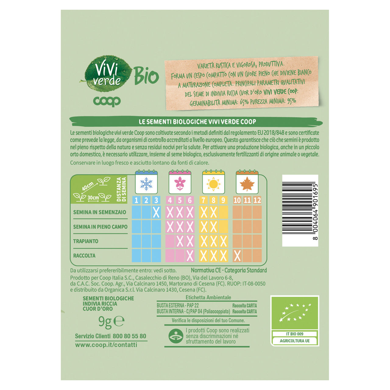 Sementi indivia riccia cuor d'oro bio 9 gr - Immagine 11