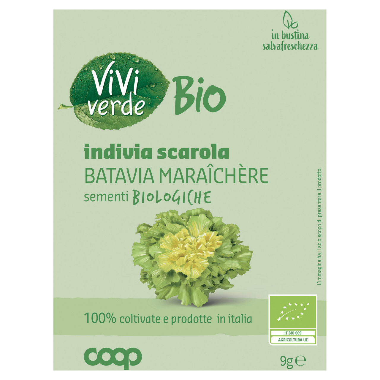 Sementi Indivia scarola Batavia Maraichère bio 9 gr