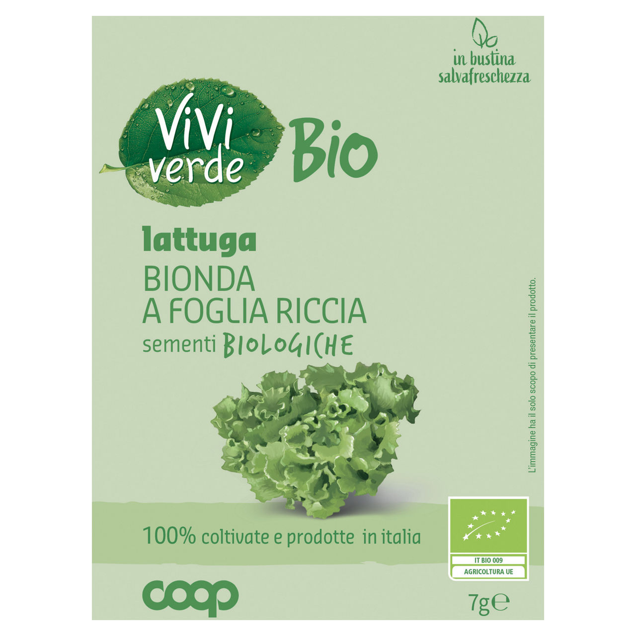 Sementi lattuga bionda foglia riccia seme bianco bio 7,0 gr