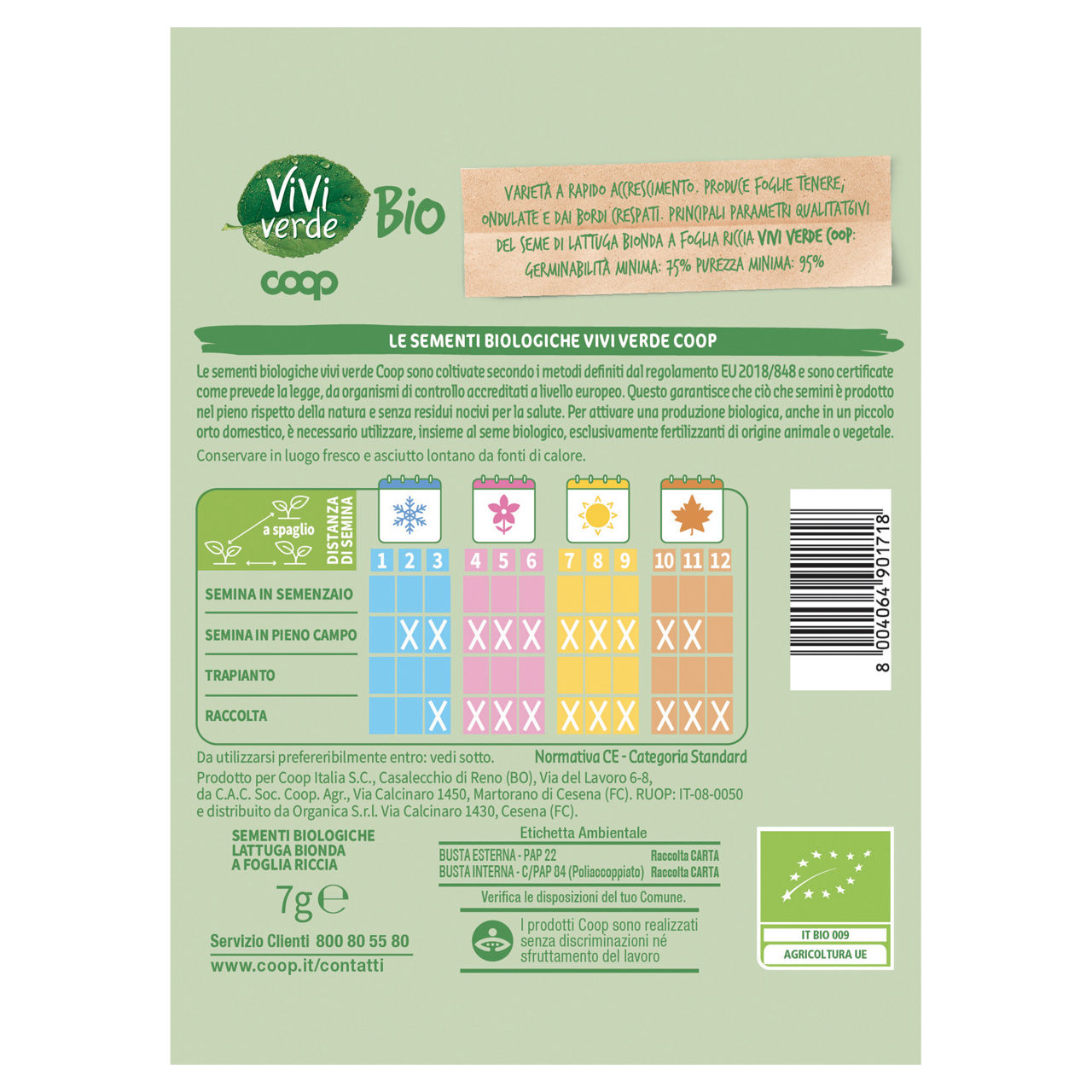 Sementi lattuga bionda foglia riccia seme bianco bio 7,0 gr - Immagine 11