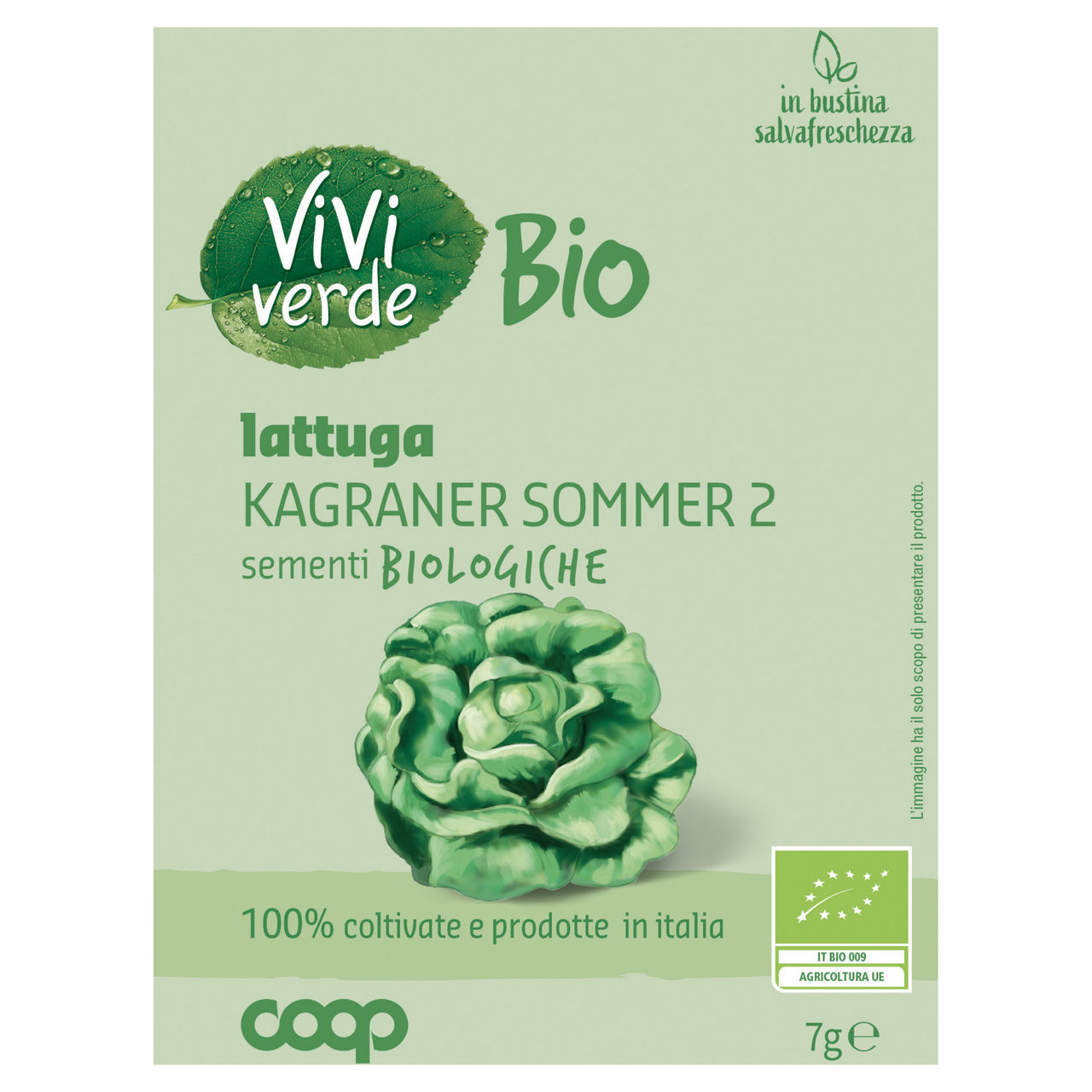 Sementi lattuga estiva di Kagran 2 bio 7 gr