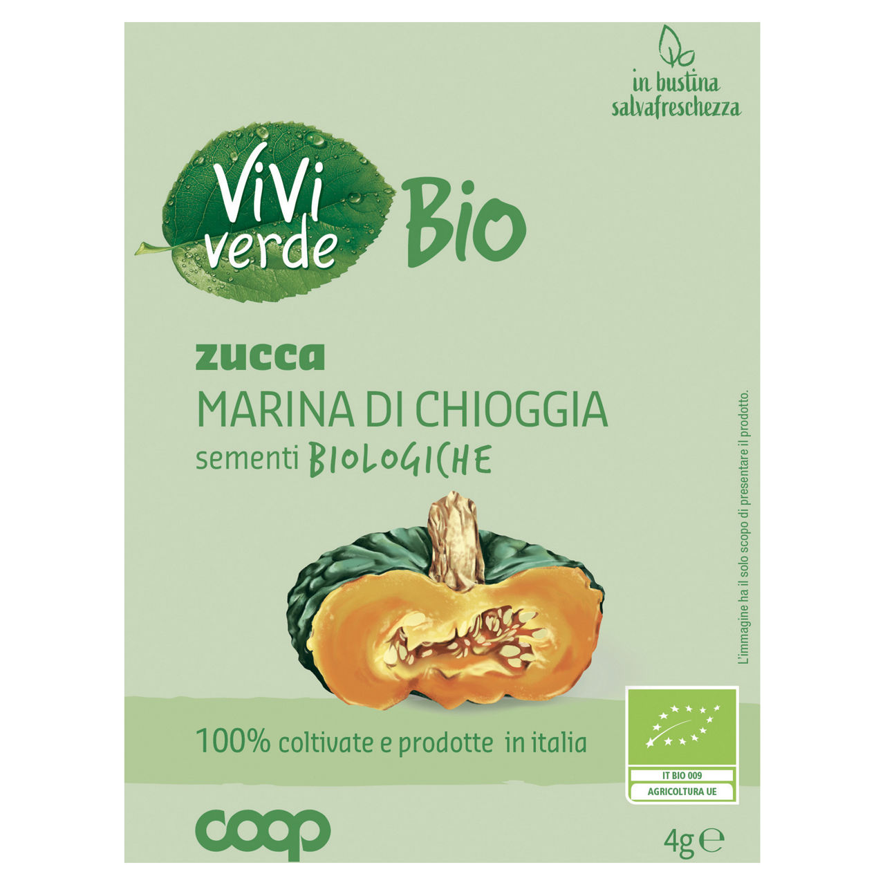 Sementi zucca marina di Chioggia bio 4 gr - Immagine 01