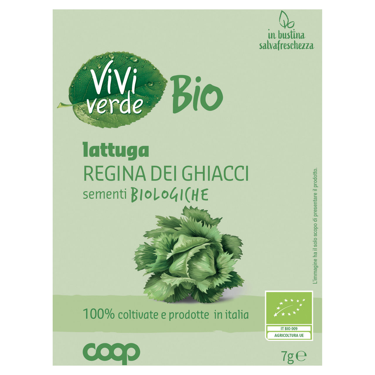 Sementi lattuga regina dei ghiacci bio 7 gr