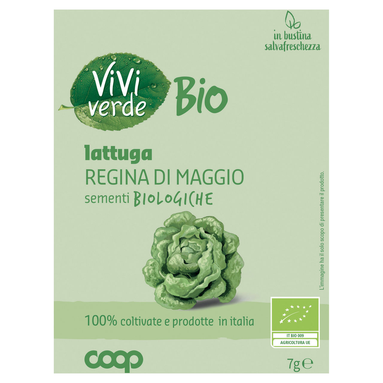 Sementi lattuga regina di maggio bio 7 gr