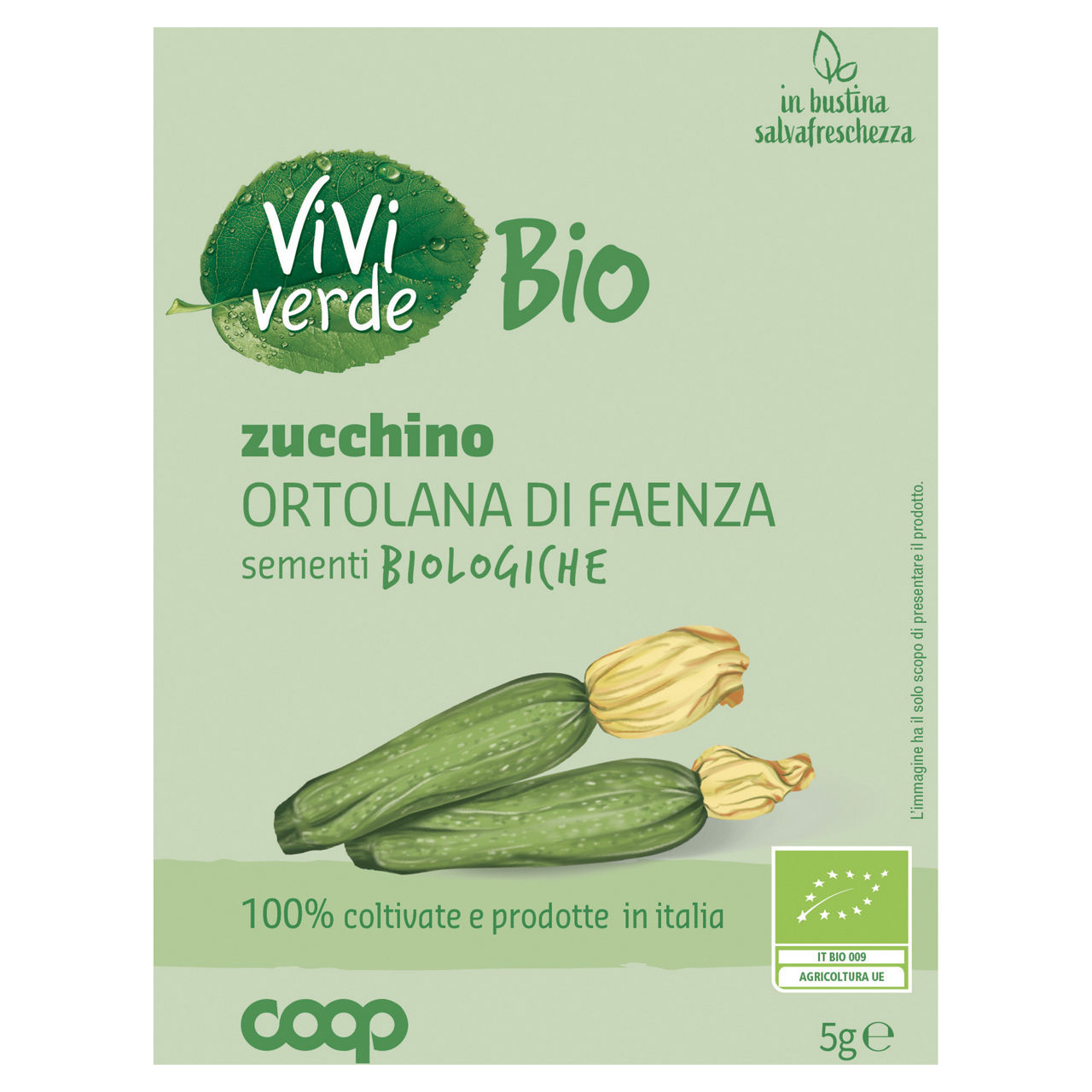 Sementi zucchino ortolana di Faenza bio 5 gr - Immagine 01