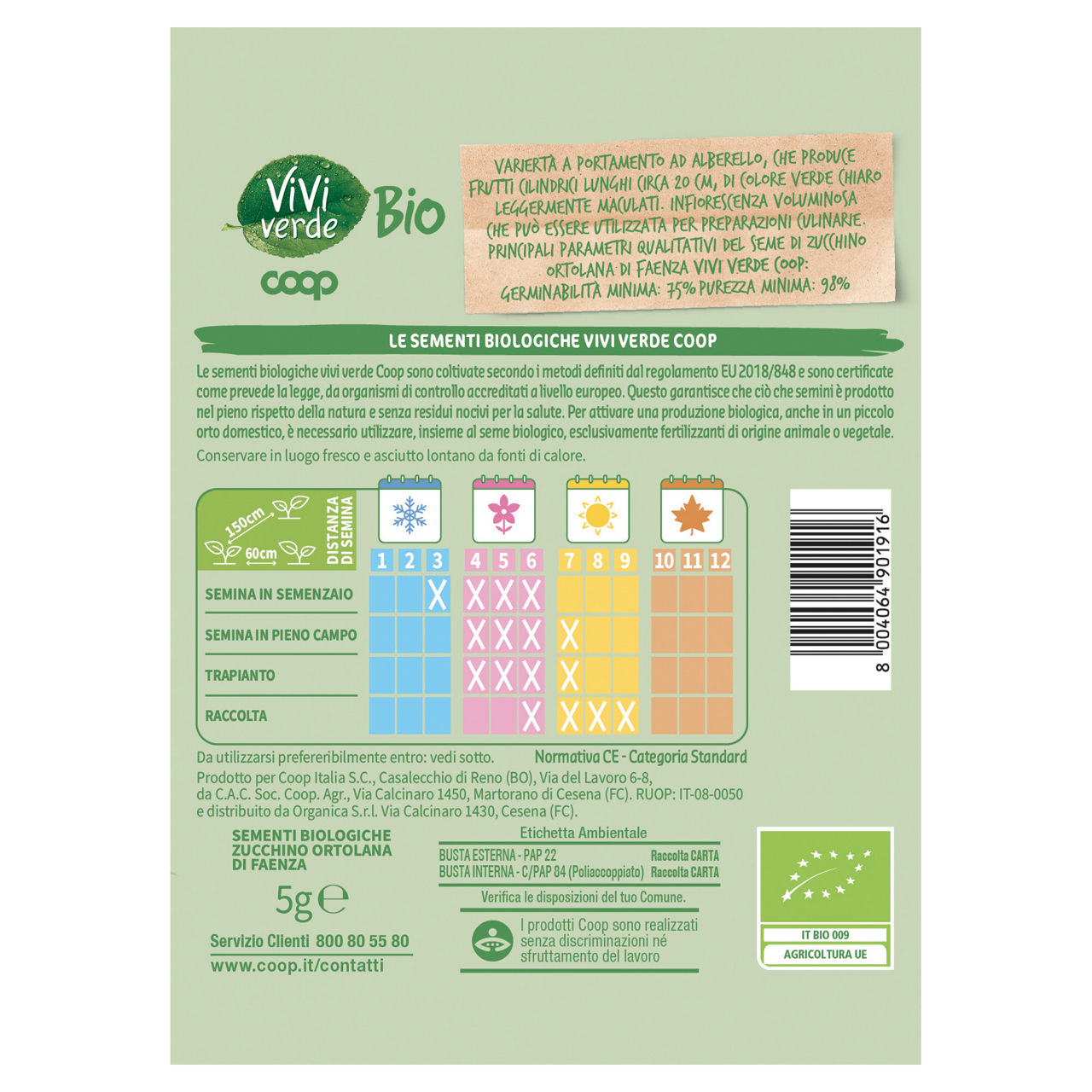 Sementi zucchino ortolana di Faenza bio 5 gr - Immagine 11