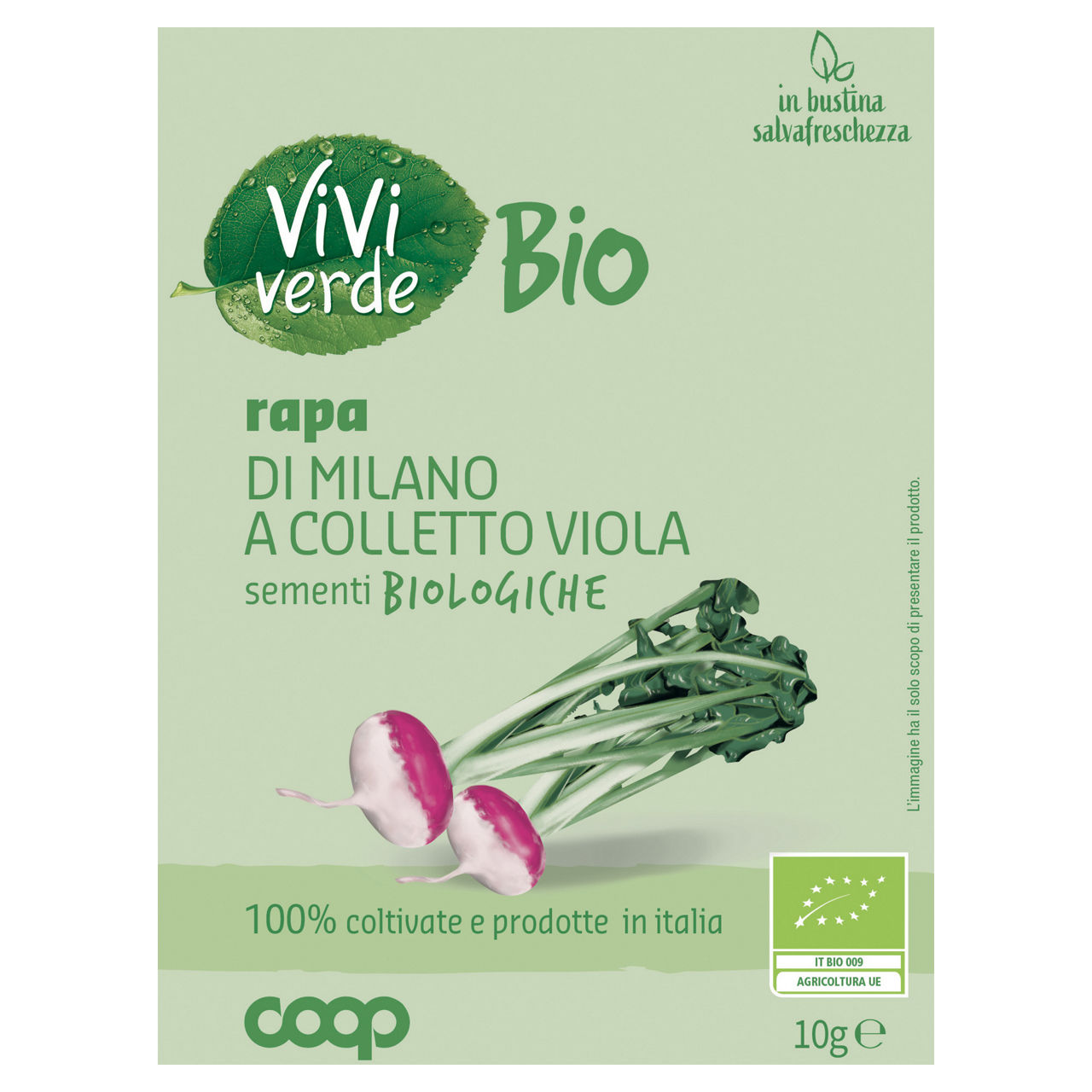 Sementi rapa di Milano a colletto viola bio 10 gr - Immagine 01