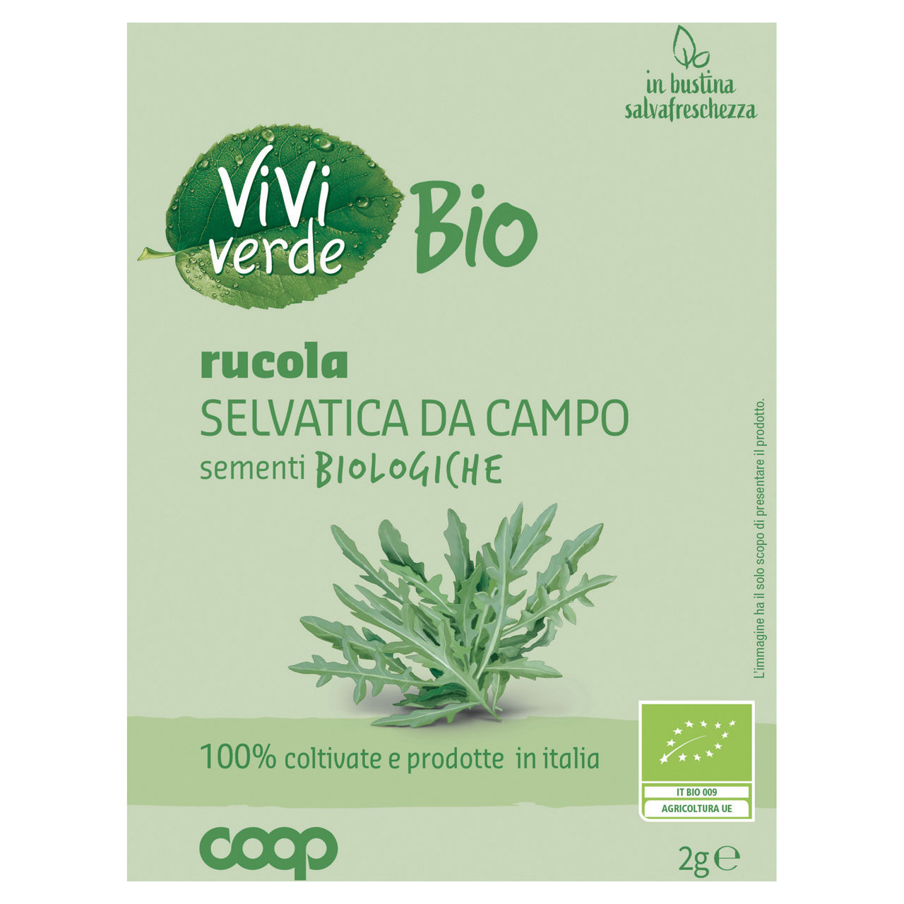 Sementi rucola selvatica da campo bio 2 gr - Immagine 01