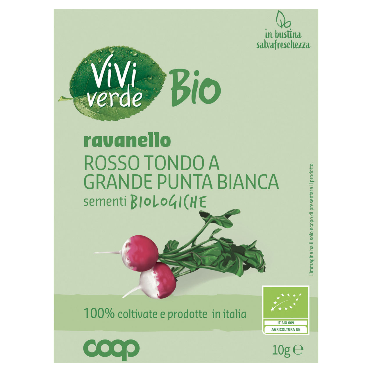 Sementi ravanello rosso tondo a grande punta bianca bio 10 gr