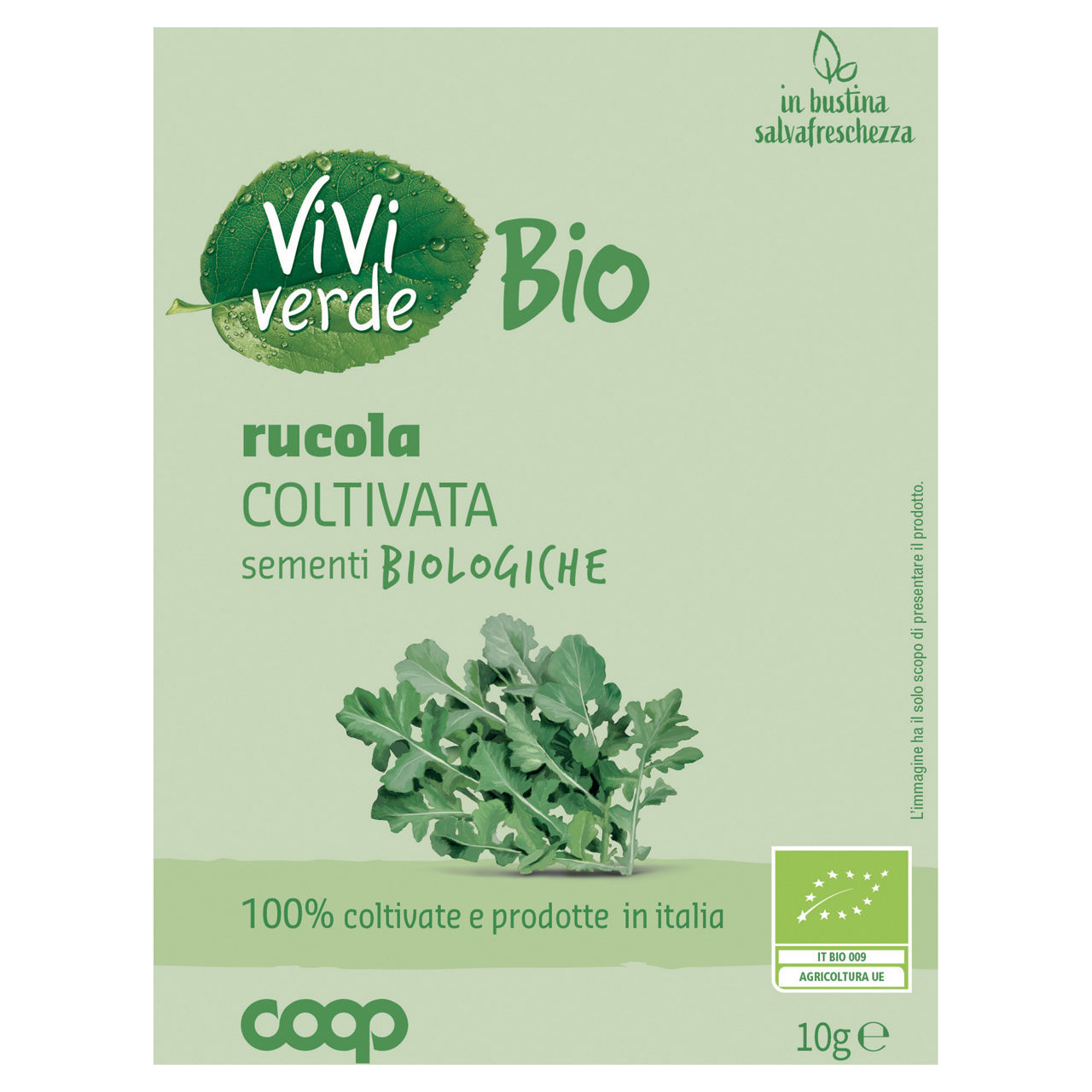 Sementi rucola coltivata bio 10 gr - Immagine 01