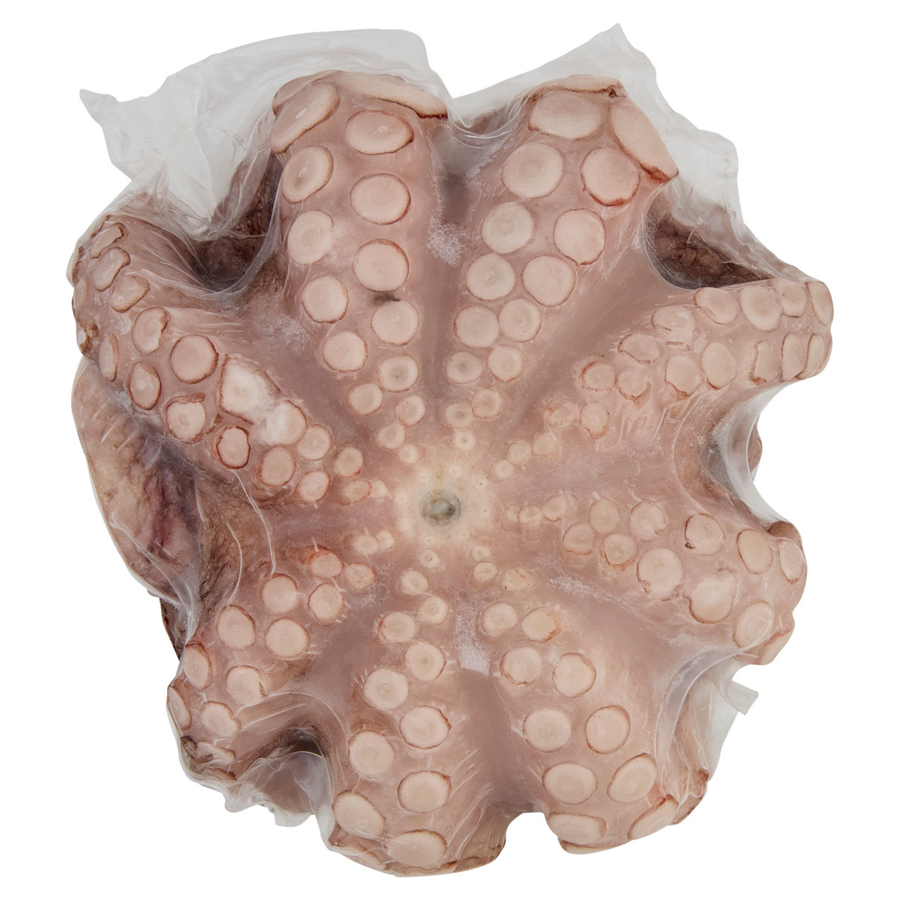 Polpo eviscerato surgelato  - Immagine 01