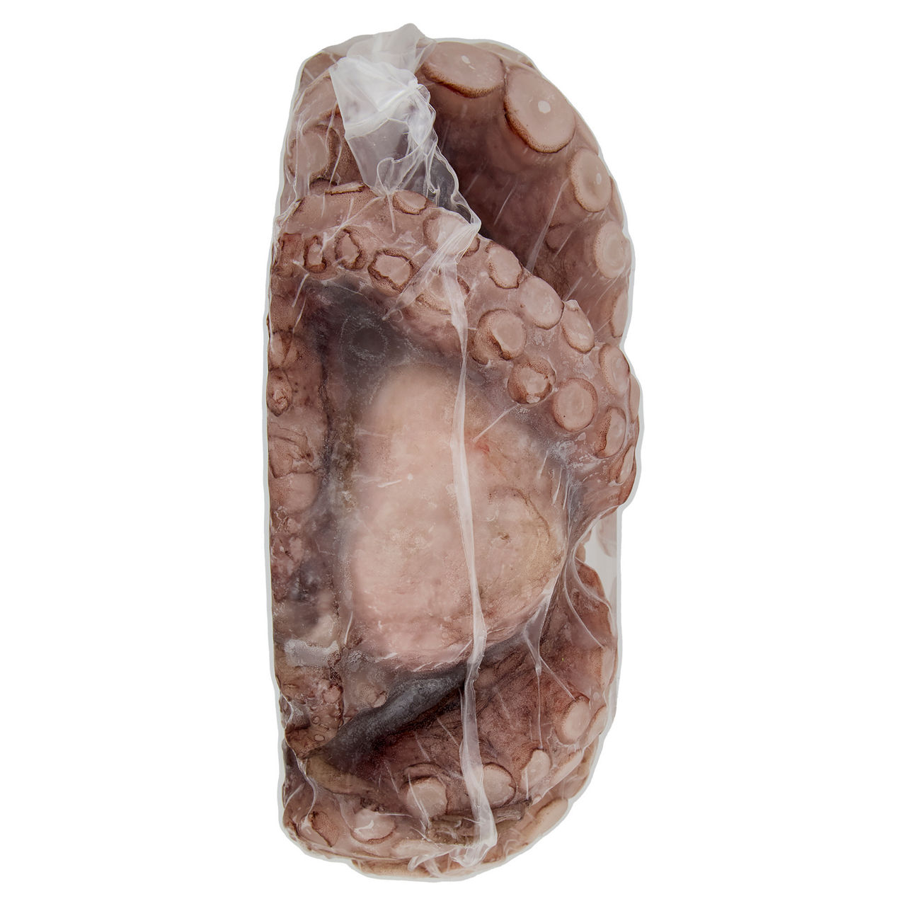 Polpo eviscerato surgelato  - Immagine 11
