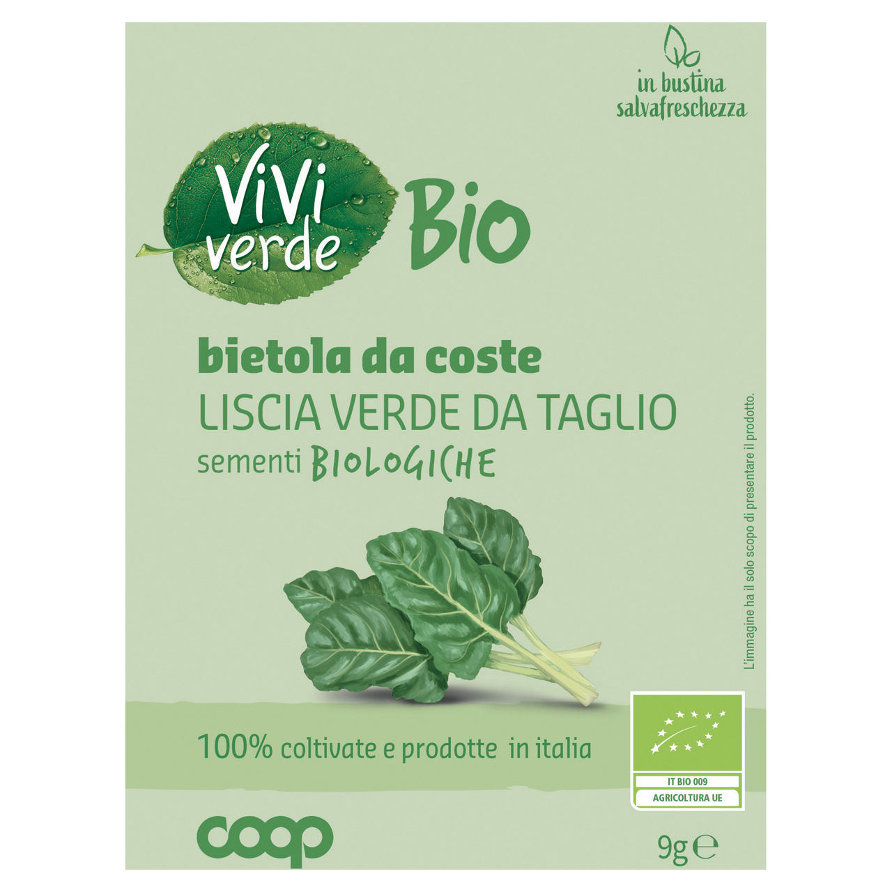 Sementi bietola da coste liscia verde da taglio bio 9 gr - Immagine 01