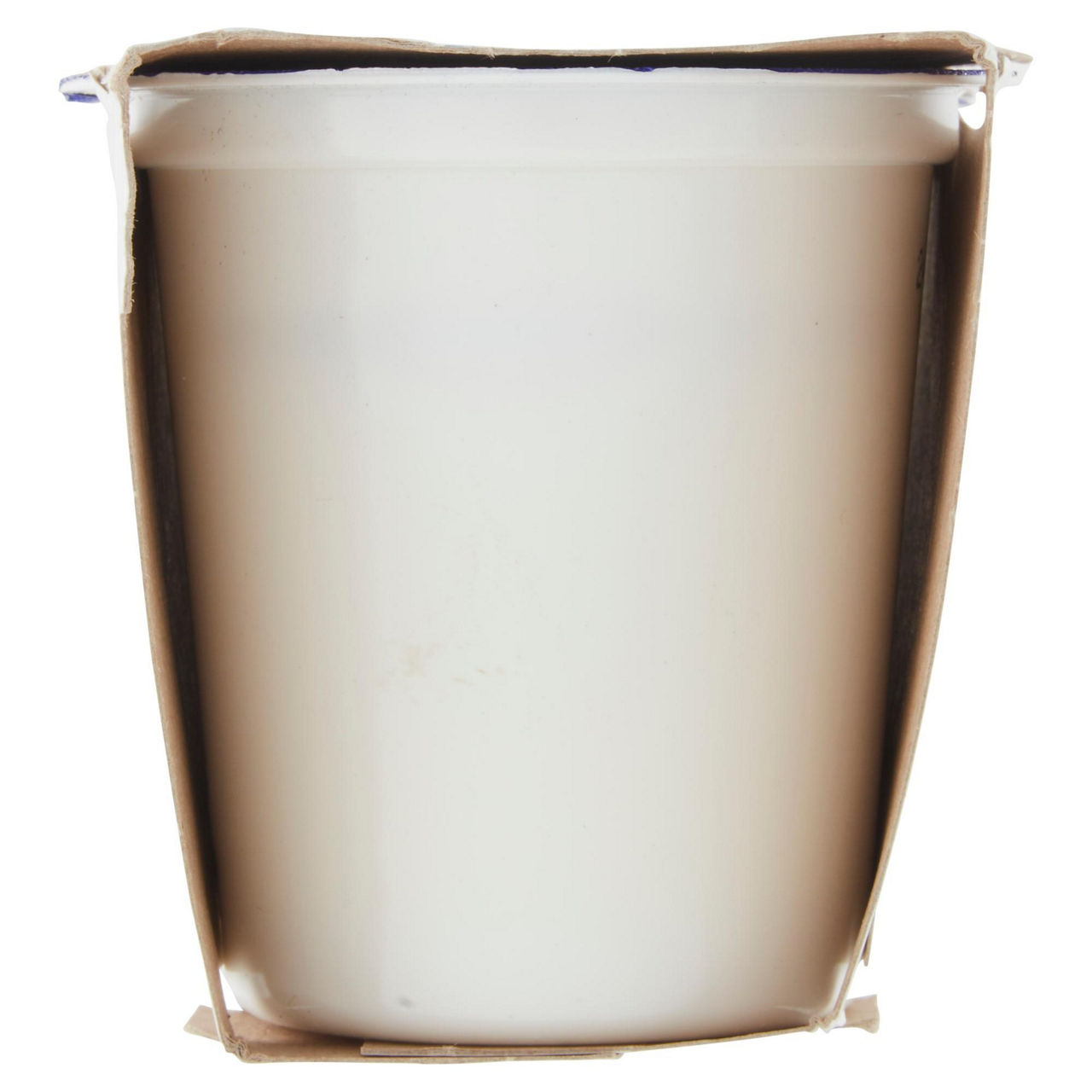 Yogurt intero bianco 2 pz da 125 gr - Immagine 41