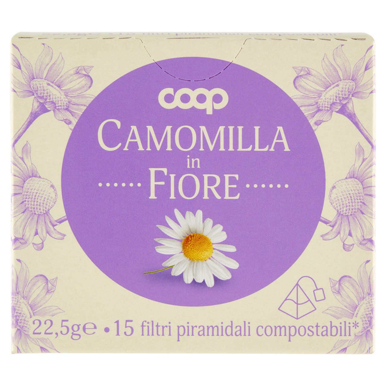 Camomilla in fiori 15 filtri - Immagine 01