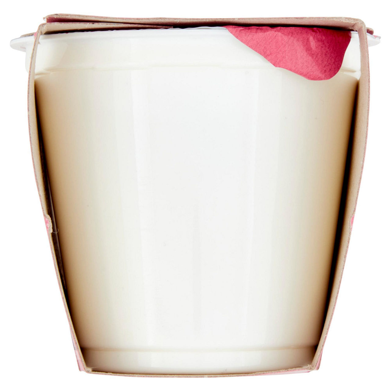 Yogurt probiotico bianco 2 pz da 125 gr - Immagine 51