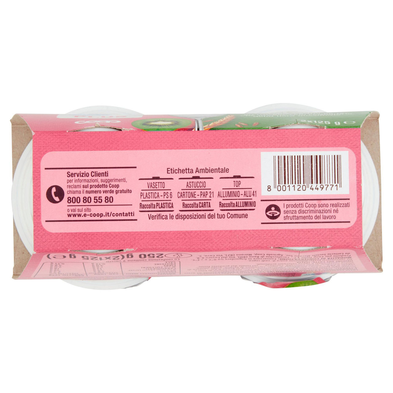 Yogurt probiotico kiwi e cereali 2 pz da 125 gr - Immagine 11