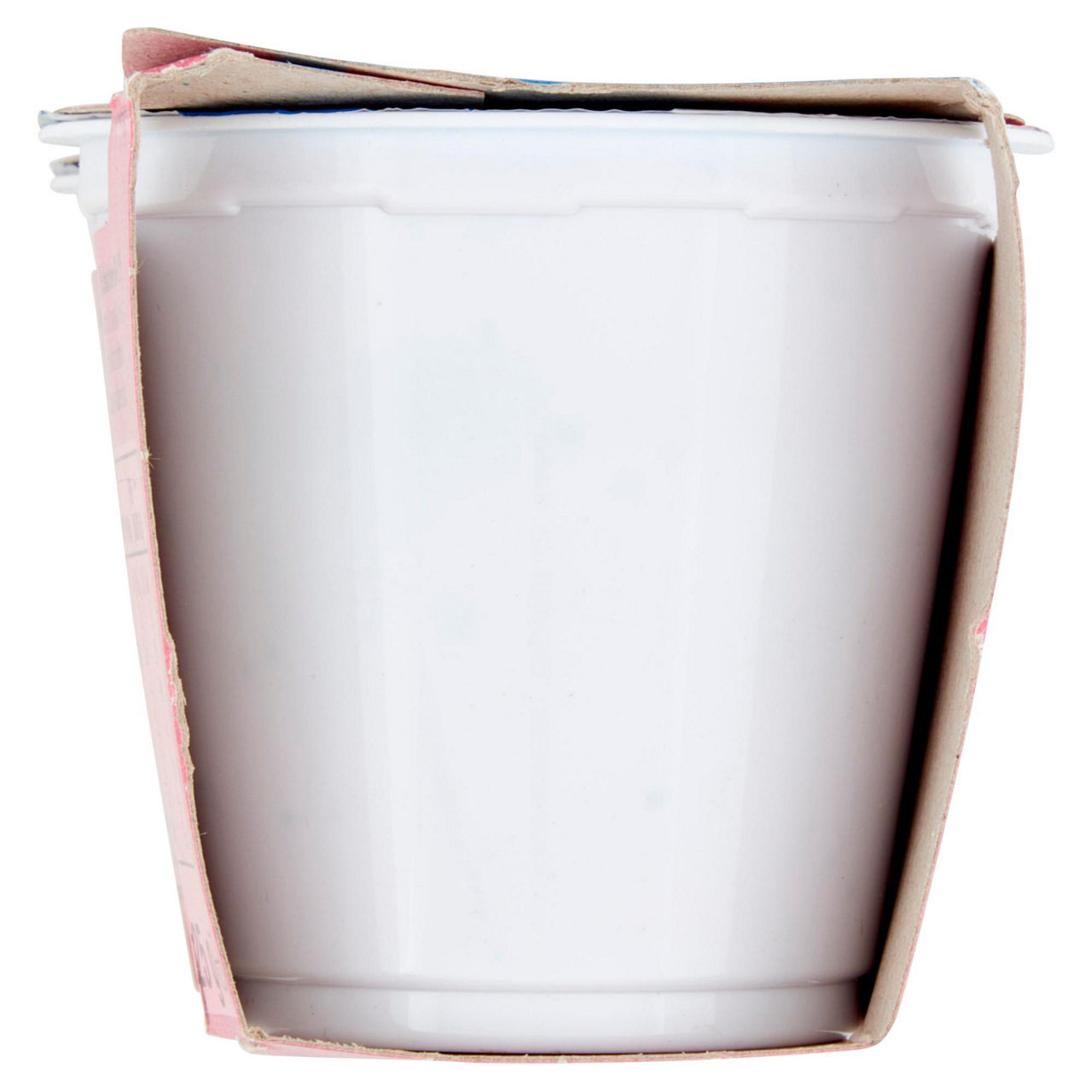 Yogurt probiotico al mirtillo 2 pz da 125 gr - Immagine 11