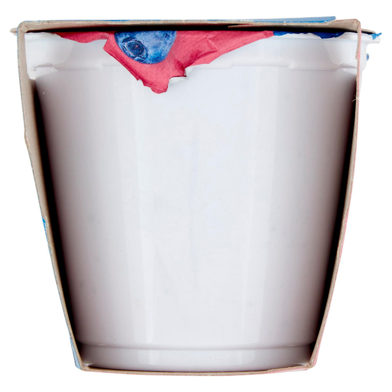 Yogurt probiotico al mirtillo 2 pz da 125 gr - Immagine 41