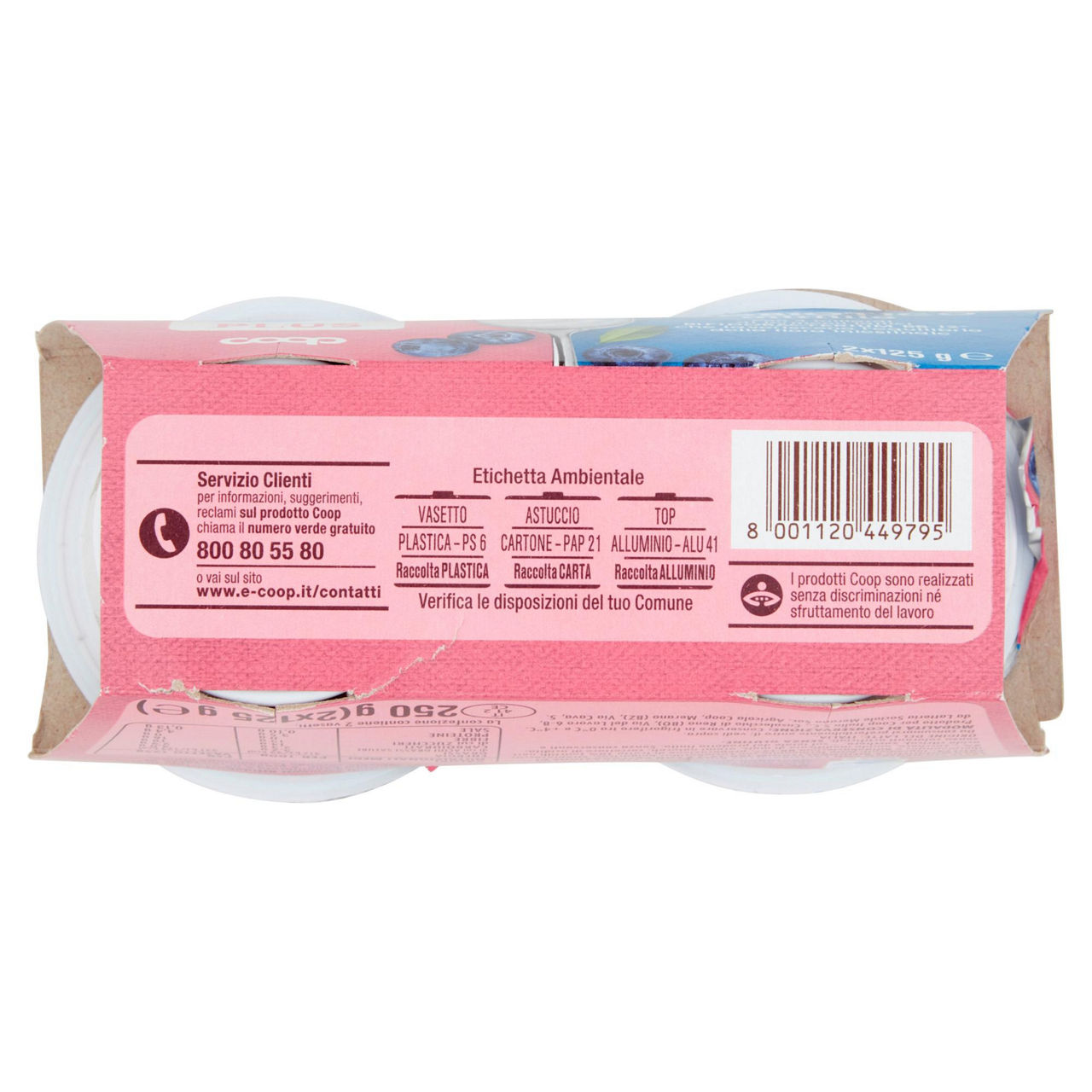 Yogurt probiotico al mirtillo 2 pz da 125 gr - Immagine 31