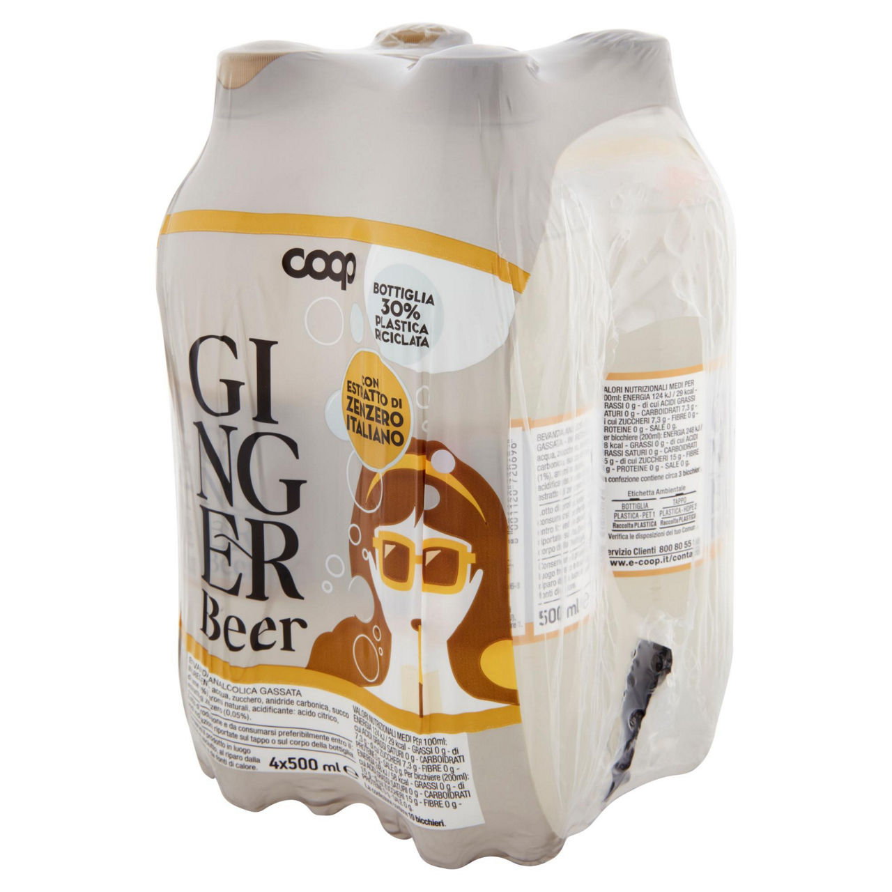 Ginger beer 4 pz x 500 ml - Immagine 41