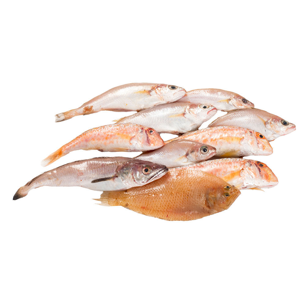 Paranza Toscana per frittura