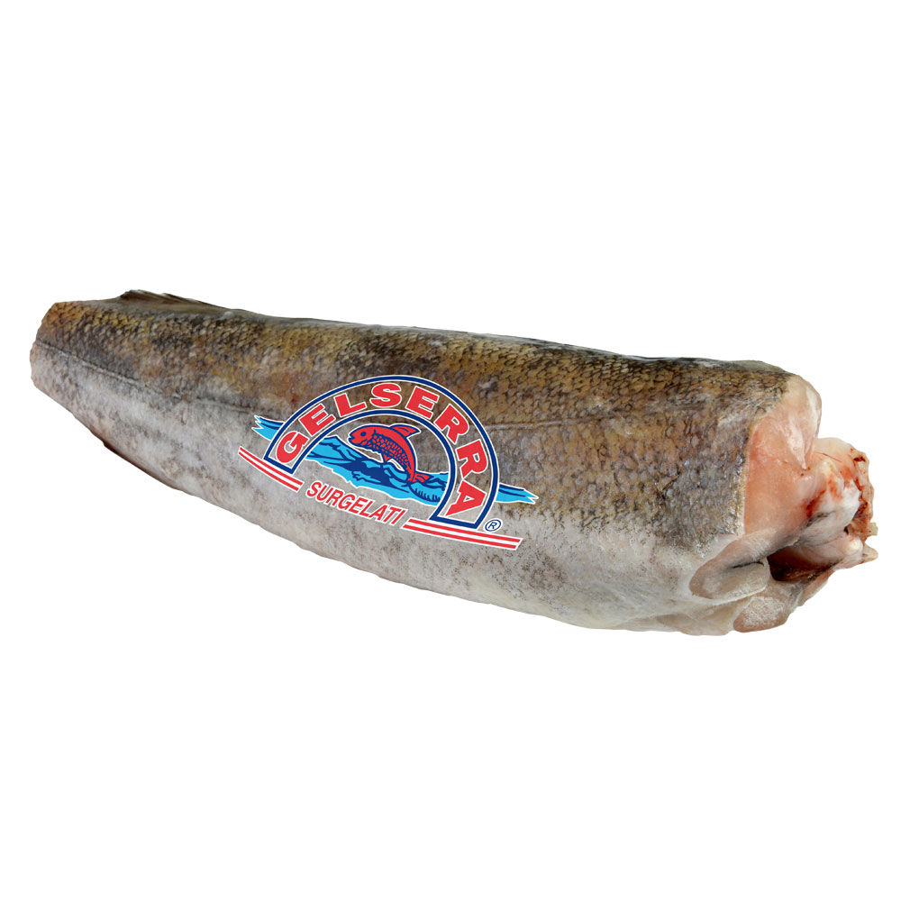 Nasello senza testa congelato