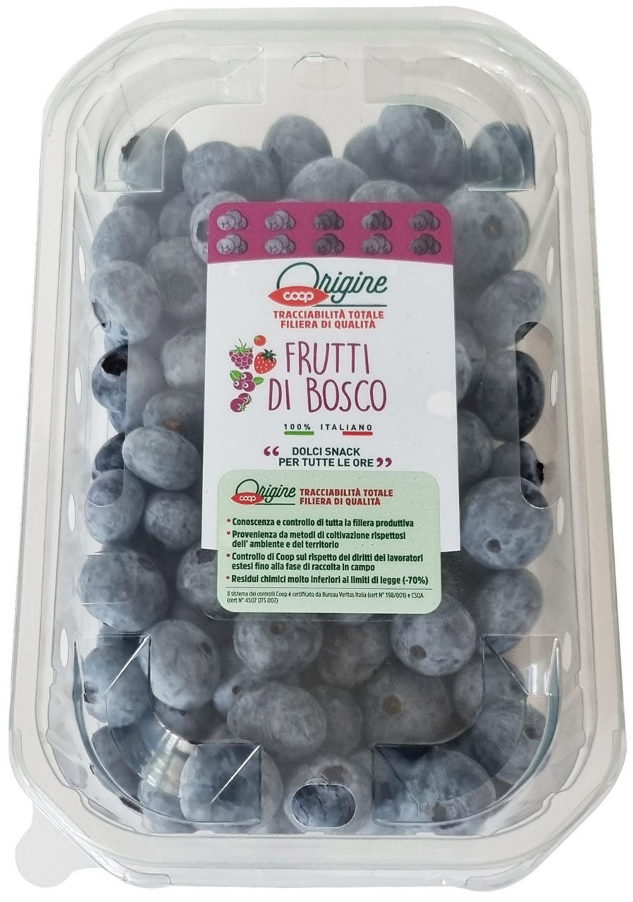 Mirtilli 250 gr