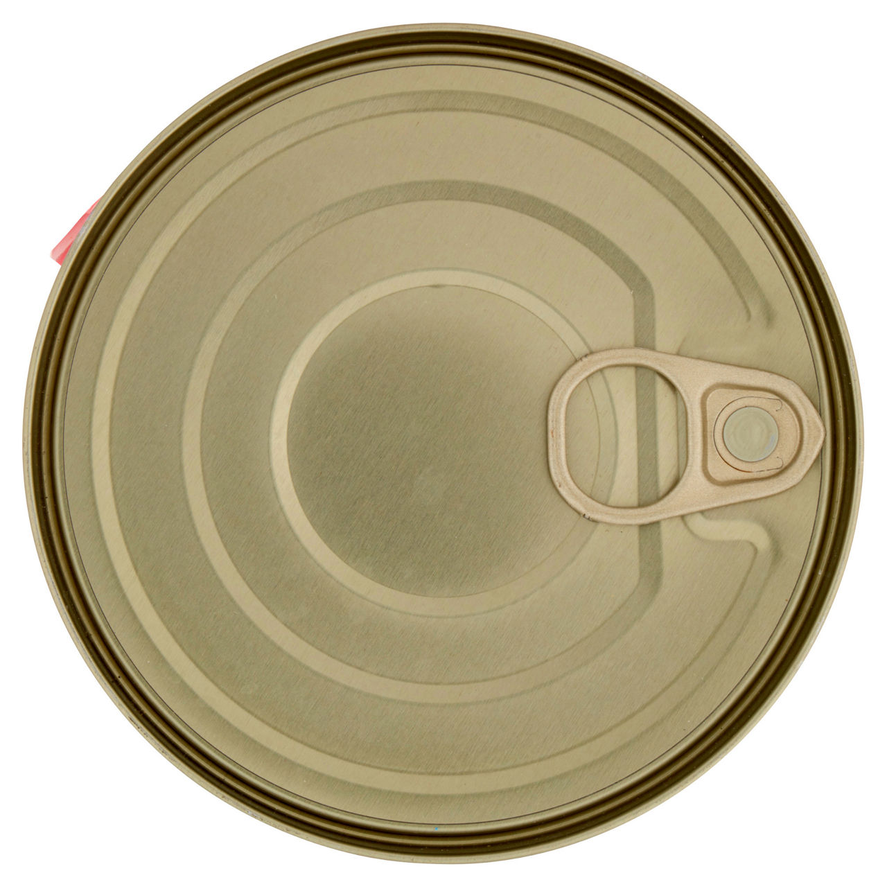 Umido cane bocconcini per cani pollo lattina coop kg 1,24 - Immagine 31