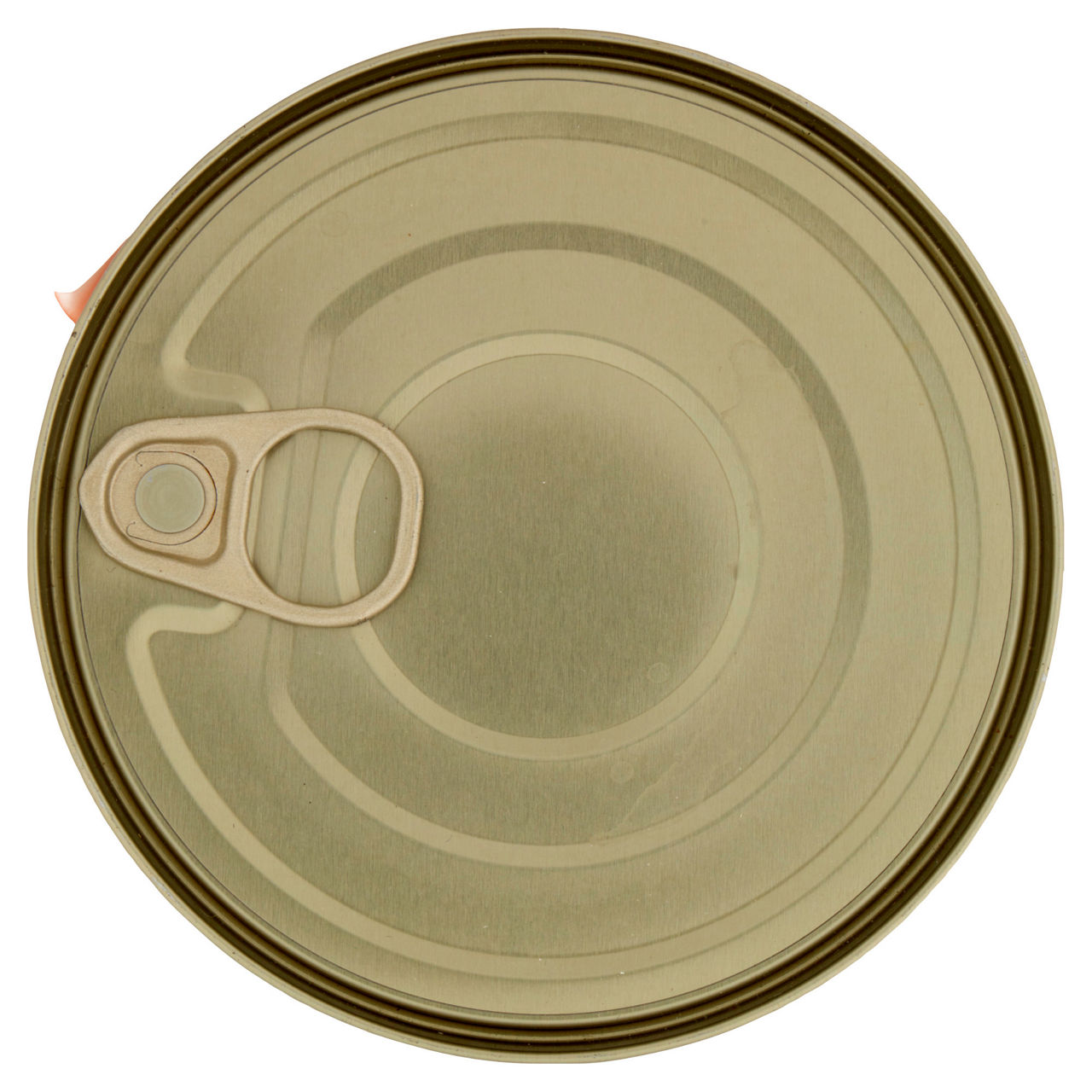 Umido cane bocconcini per cani tacchino lattina coop kg 1,24 - Immagine 41