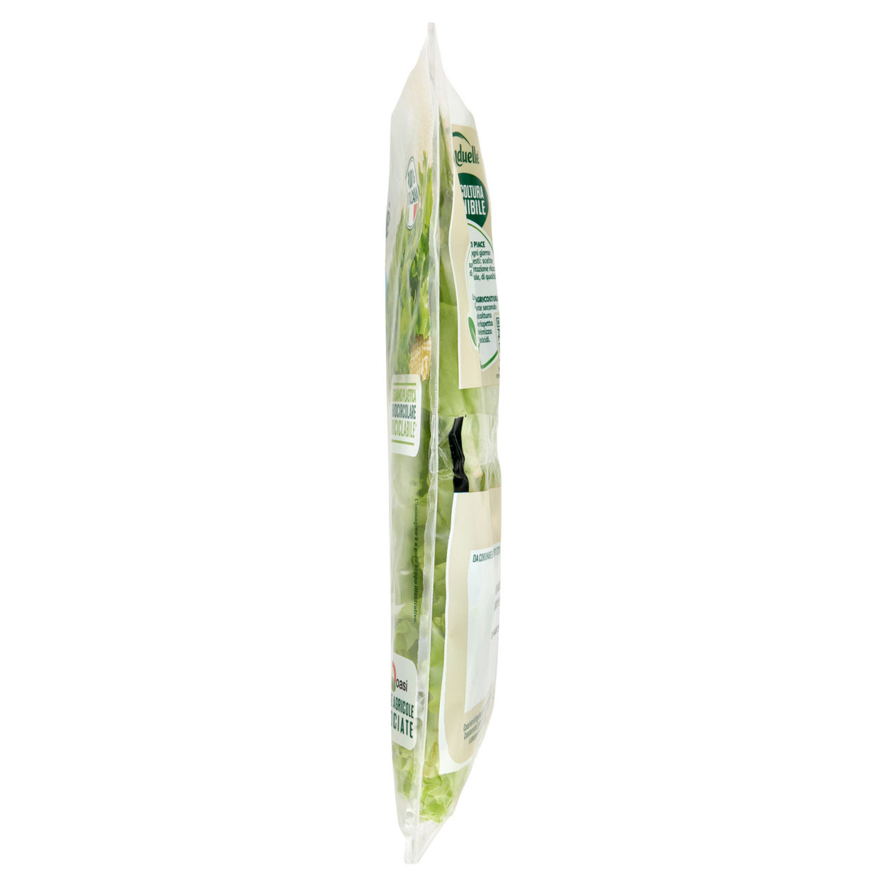 Lattughino 60 gr - Immagine 21