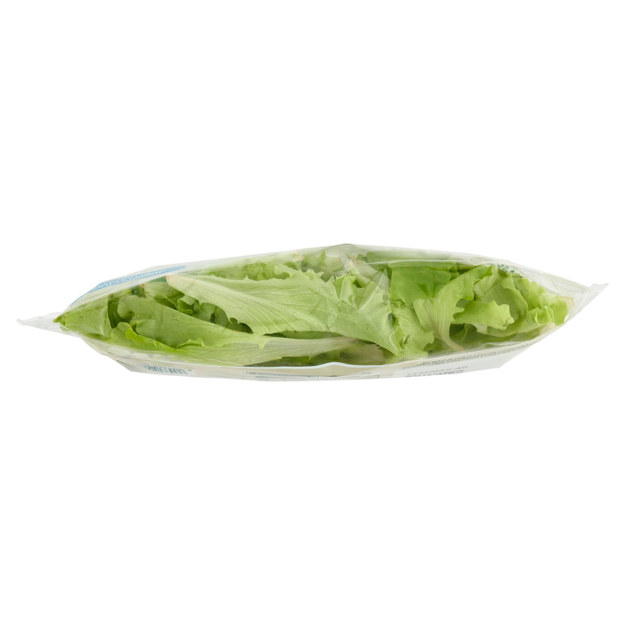 Lattughino 60 gr - Immagine 11