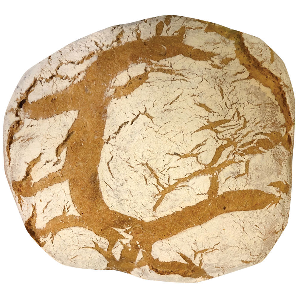 Pane a lievitazione naturale - Immagine 01