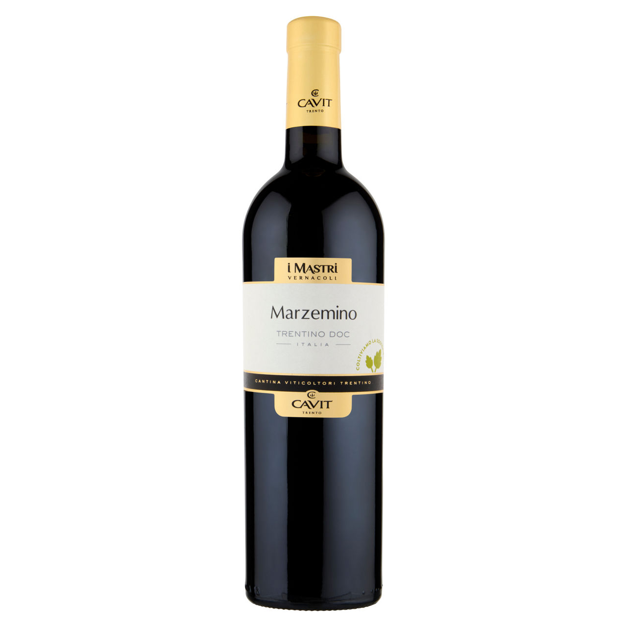 Vino rosso Marzemino Trentino DOC Mastri Vernacoli 750 ml