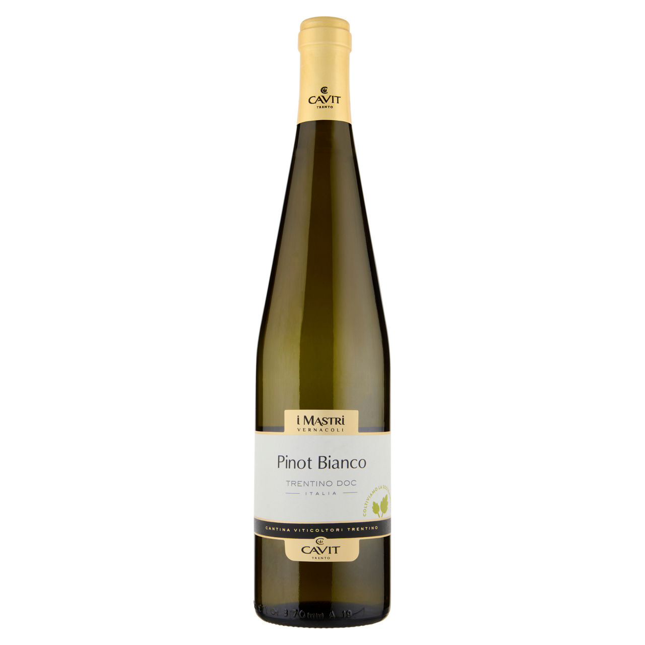 Vino bianco Pinot Bianco Trentino DOC Mastri Vernacoli 750 ml