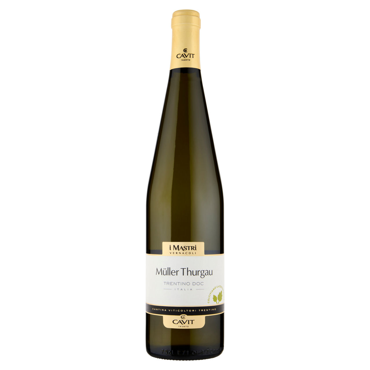 Vino bianco Muller Thurgau Trentino DOC Mastri Vernacoli 750 ml