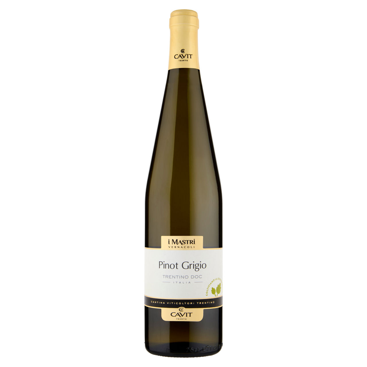 Vino bianco Pinot Grigio Trentino DOC Mastri Vernacoli 750 ml