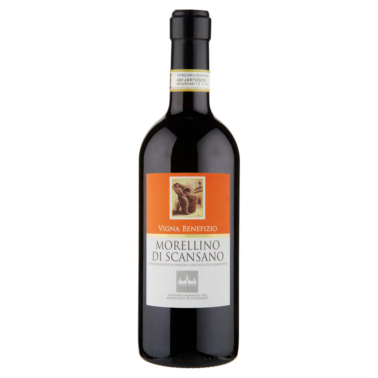 Vino rosso Morellino di Scansano DOCG 750 ml - Immagine 01
