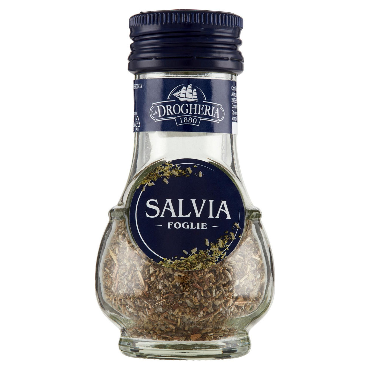 Salvia drog.alim.queen vict. v.v. gr.8