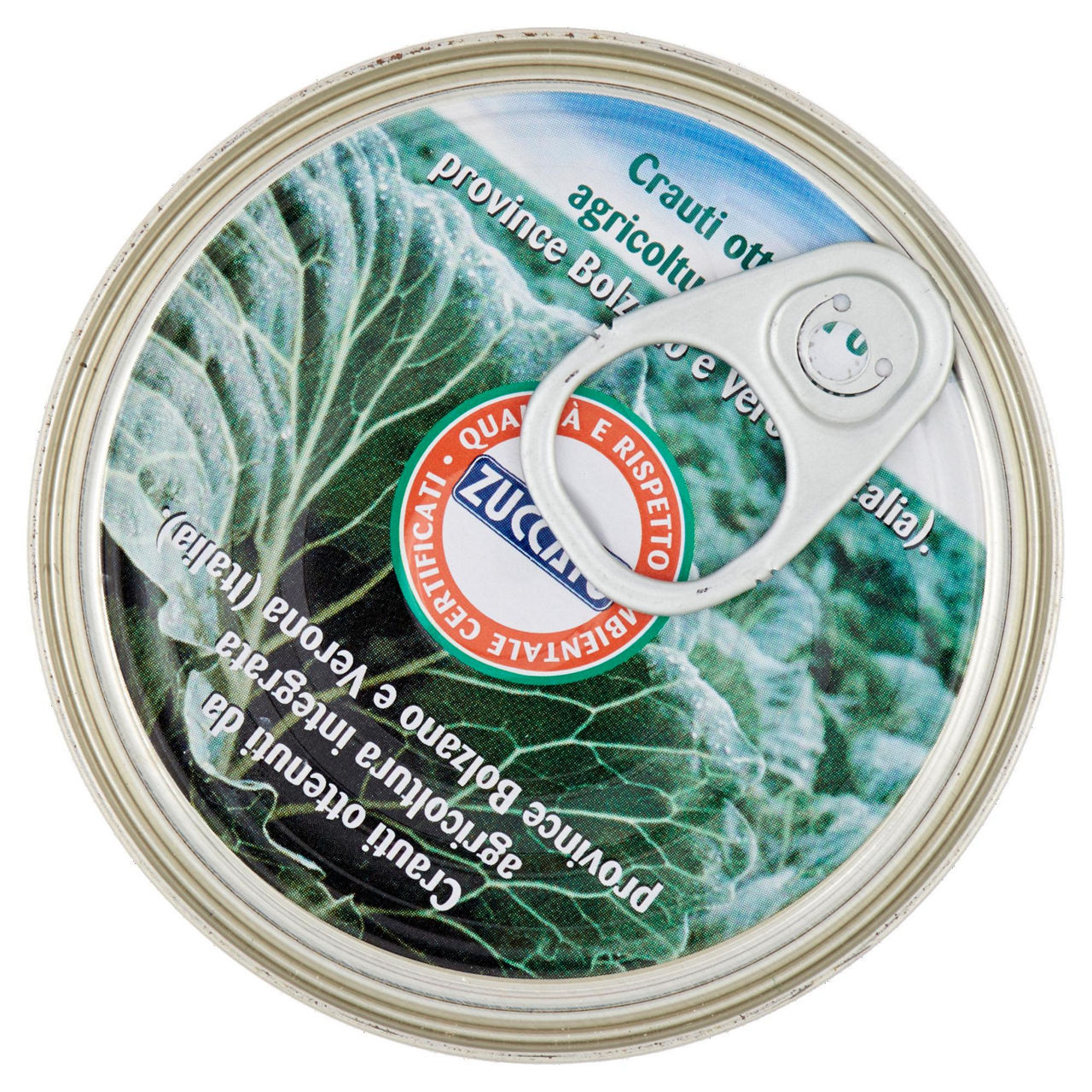 CRAUTI AL NATURALE ZUCCATO GR. 385  (ML.425) - Immagine 41