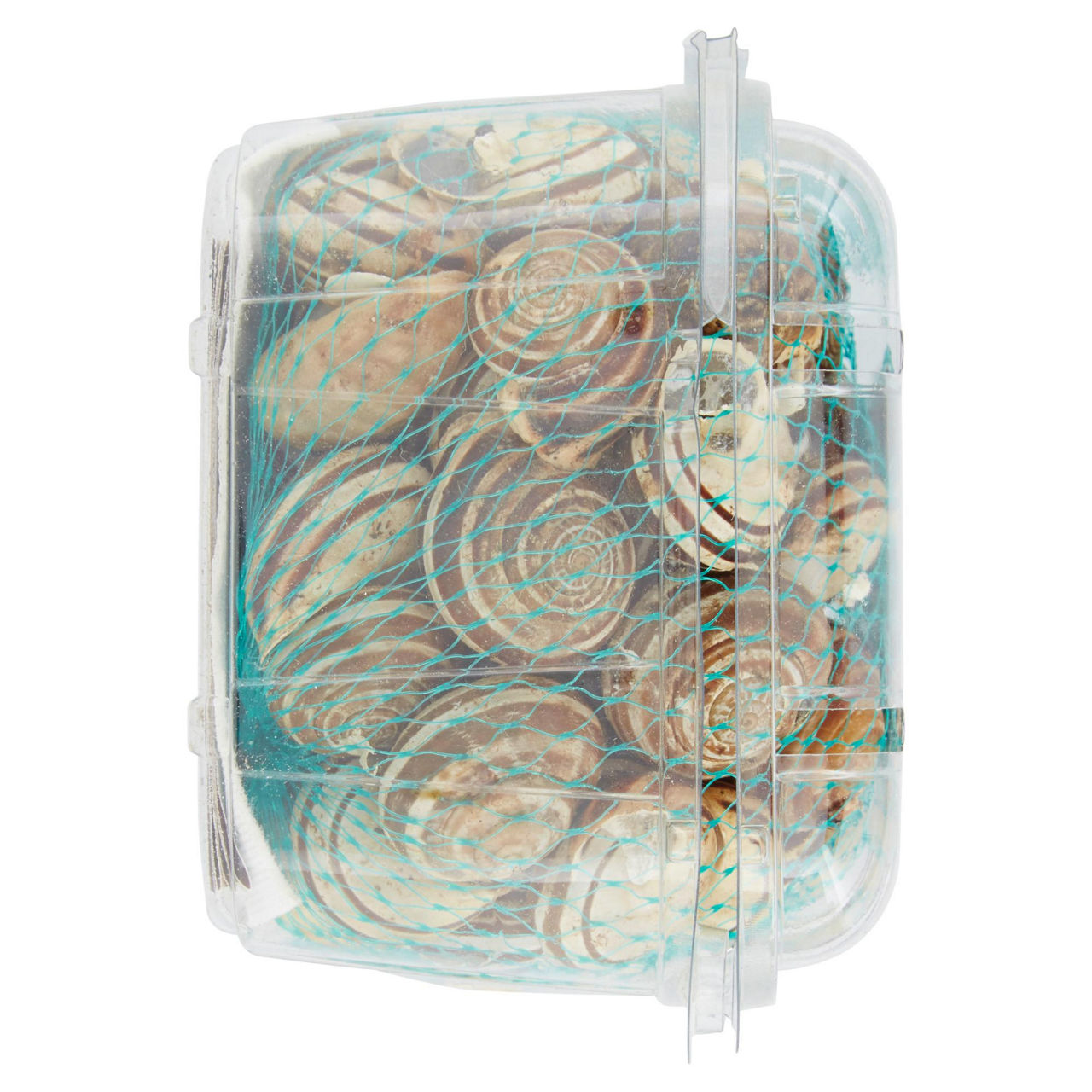 Lumache rigatelle 500 gr - Immagine 11